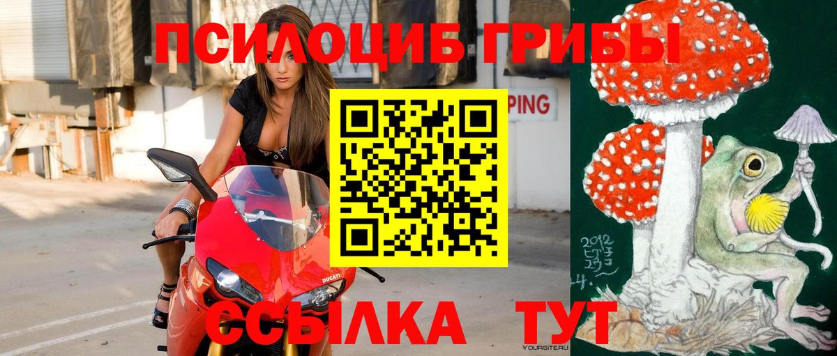 Псилоцибиновые грибы MAGIC MUSHROOMS Батайск